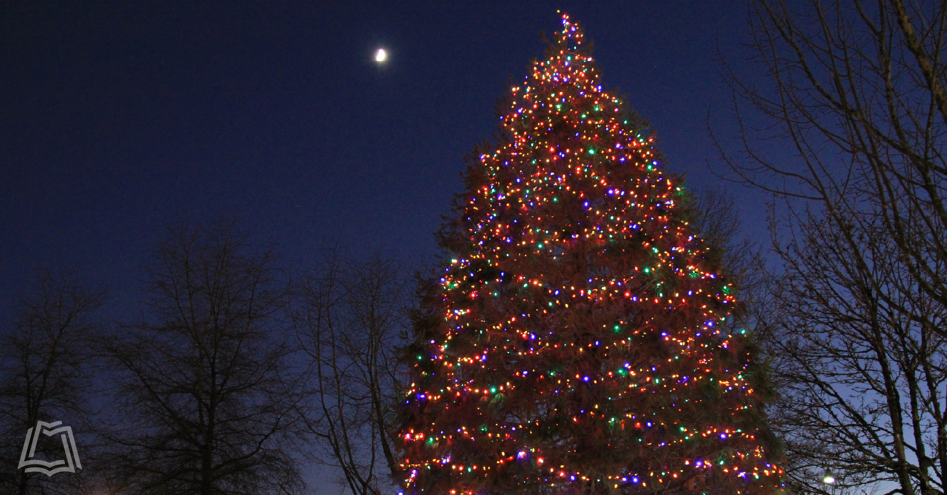 La Center Annual Tree Lighting Celebration and More Fort Vancouver